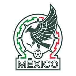 Raul Jimenez Mexico COPA AMERICA 2016 MATCH ISSUED Jersey Camiseta Shi –  foreversoccerjerseys